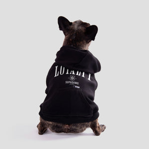 Hond draagt honden hoodie met Loyalty print