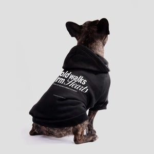 Hond draagt honden hoodie met Cold Walks print